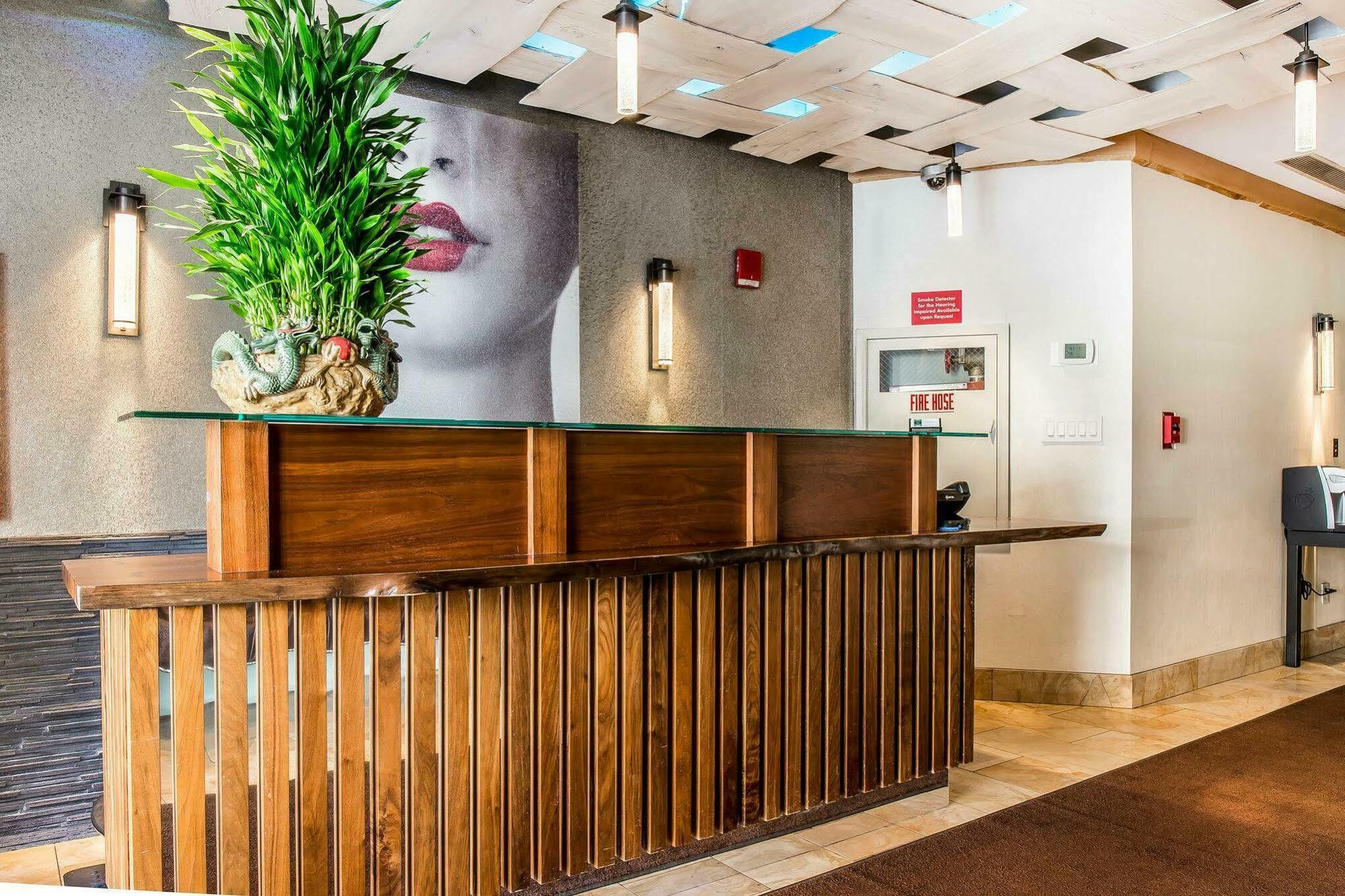 Solita Soho Hotel Nueva York